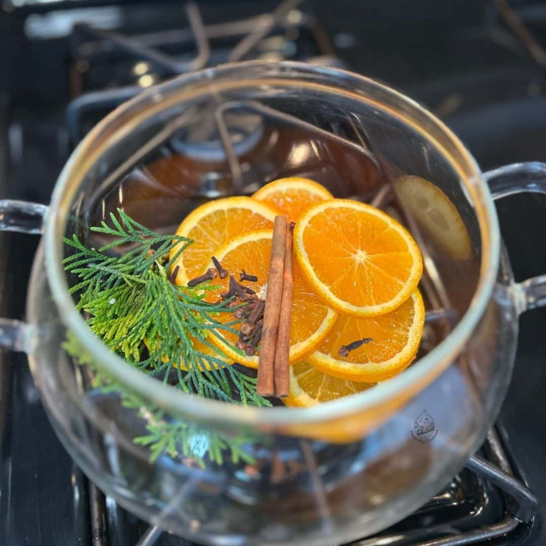 Simmer pot filled with orange slices, cider, cinnamon stick, and whole cloves for and easy forest Christmas simmer pot recipe.