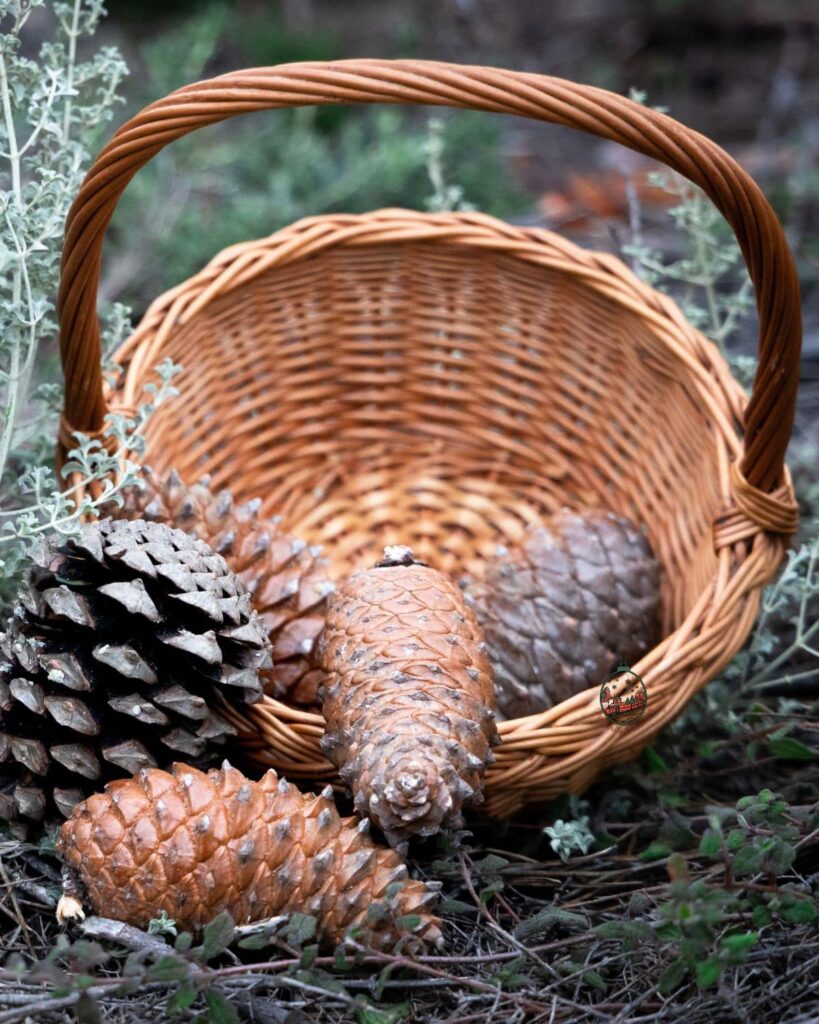A wicker basket that has pinecones in it and in front of it.
